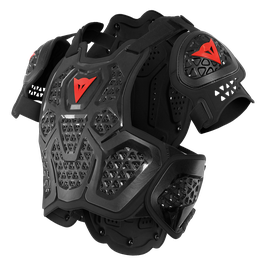 MX2 ROOST GUARD